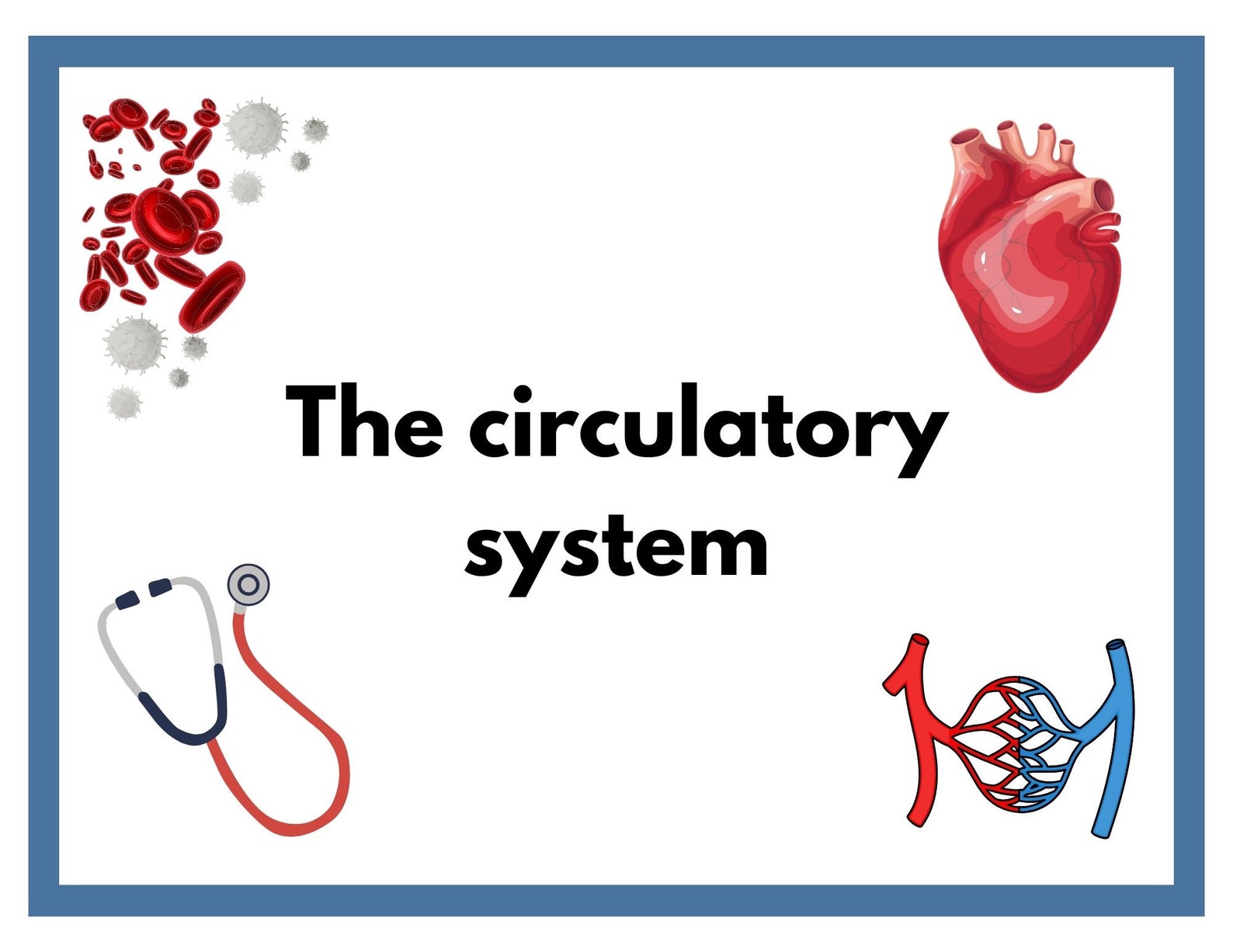 Circulatory System Activity Book for Kids Human Heart Activity Book ...