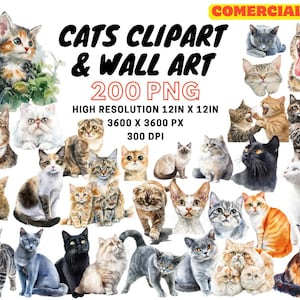 Pacote de PNG de clipart de gato, arte de parede de gato aquarela, clipart de gatos, raças de gatos, clipart de animais, animais em aquarela, download digital, clipart de gatinhos
