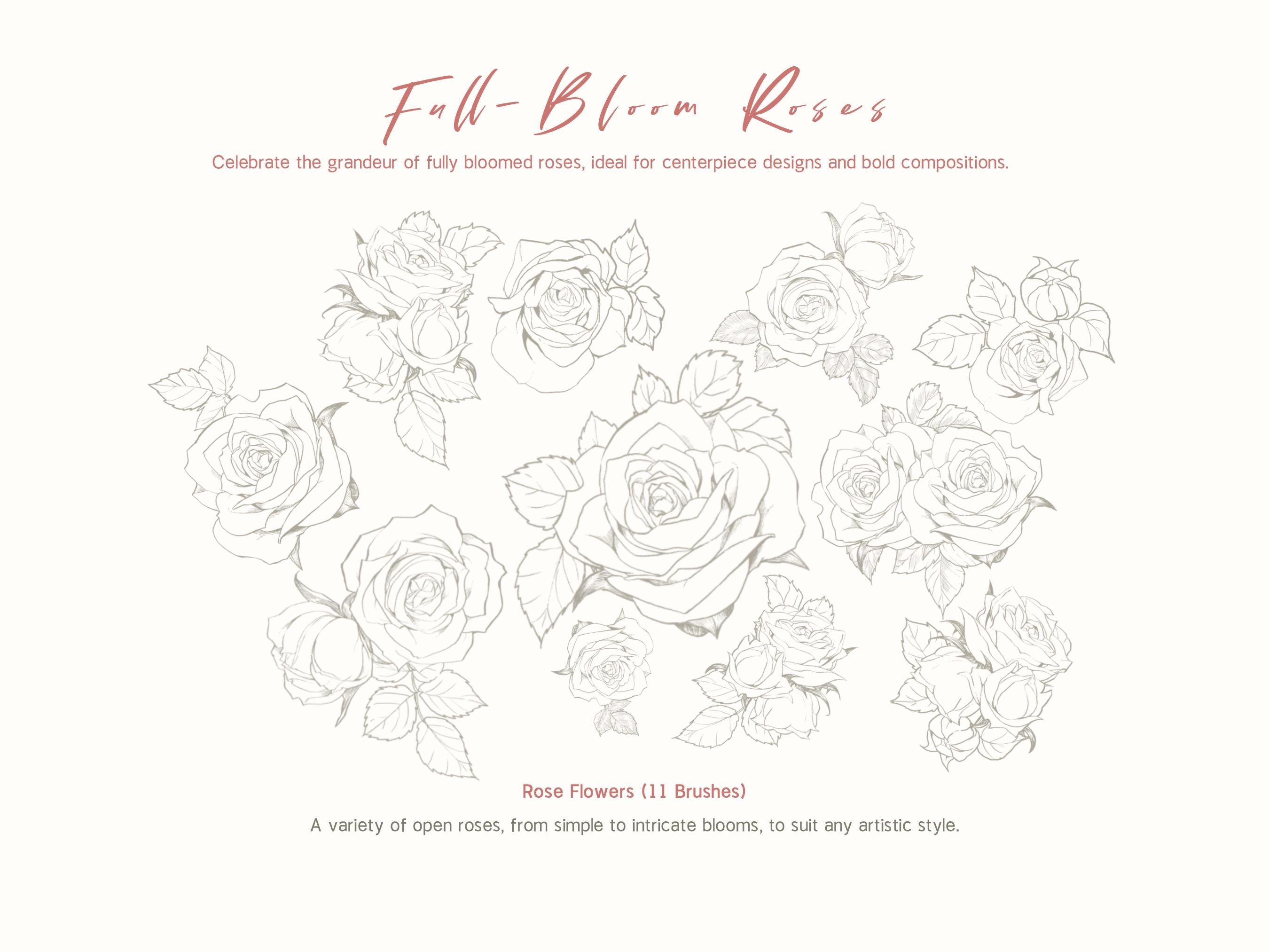 Procreate Rose Brush Set - 33 Elegant Brushes for Tattoos, Coloring ...