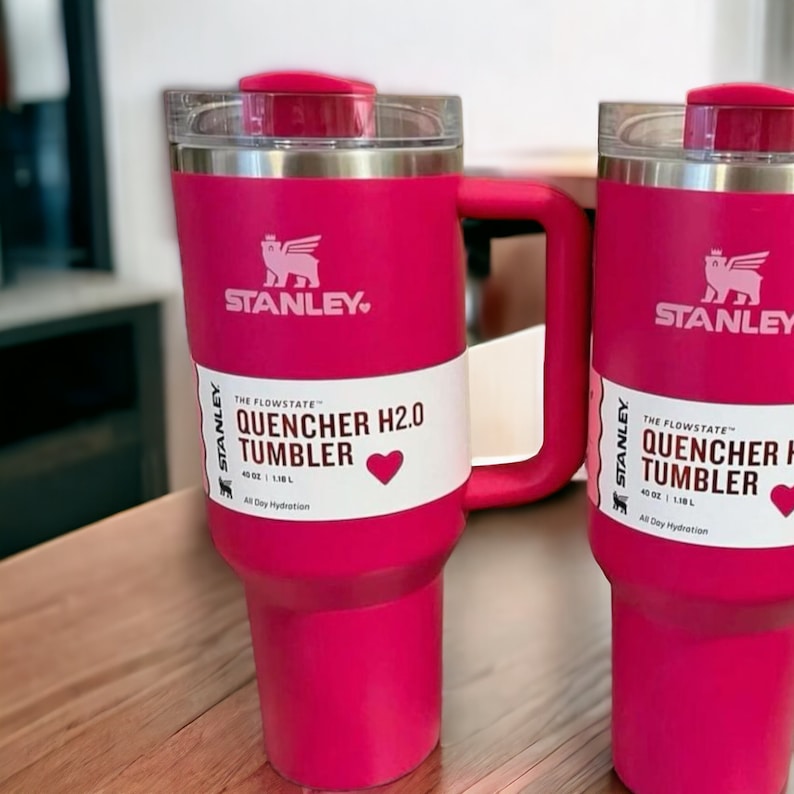 Valentine Stanley Cup 30 Oz 2025 Deni Filippa