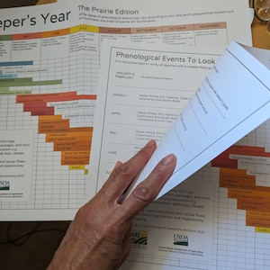 May include: A printable chart with a grid showing the phenological events to look for each month of the year. The chart is titled "The Prairie Edition" and includes a list of plants and trees, such as cottonwood, elderberry, and black locust. The chart is designed to help beekeepers track the timing of important events in the beekeeping year.