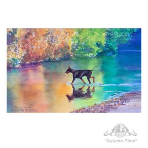 May include: A watercolor painting titled Autumn River by Kevin Roeckl featuring a black and tan Doberman dog wading through a colorful river. The water reflects vibrant orange, yellow, green, and blue hues from the surrounding foliage.