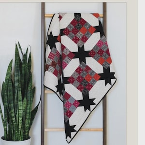 May include: A book cover with the text "Quiltfolk FOUNDRY" and the name "PHOEBE". The cover features a quilt with red, black, and white star patterns hanging on a wooden ladder. A potted snake plant is to the left. Quilt No. 006.