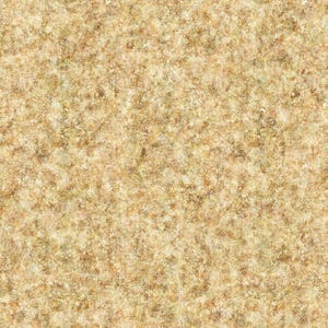 May include: A close-up view of a textured surface with a speckled pattern. The color palette consists of various shades of tan, beige, and brown, creating a natural, earthy appearance. The texture appears rough and granular, resembling a stone or sand-like material.