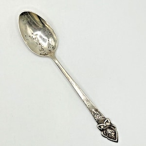 May include: A silver spoon with an ornate handle. The spoon's bowl shows signs of wear. The handle features a floral design. The spoon is set against a white background.