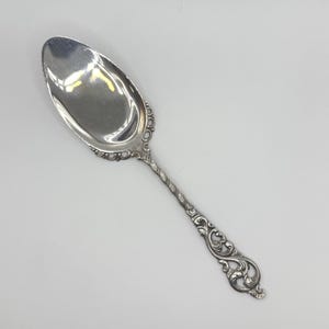 May include: A silver serving spoon with an ornate, scrolled handle and a twisted stem. The spoon's bowl is oval-shaped and reflects the surrounding light. The handle features detailed scrollwork and a decorative end.