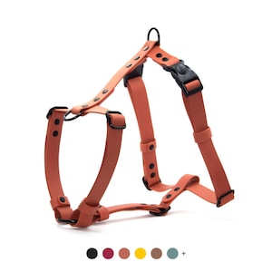 Può includere: Un'imbracatura per cani color ruggine con elementi neri e una fibbia nera. L'imbracatura presenta cinghie regolabili e anelli a D in metallo per l'attacco del guinzaglio. Su sfondo bianco.