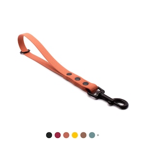 Könnte beinhalten: Eine orangefarbene Hundeleine mit strukturierter Oberfläche und schwarzer Hardware. Die Leine hat einen Schlaufengriff und einen Metallverschluss für sicheren Halt. Die Leine ist mit drei schwarzen Nieten versehen.