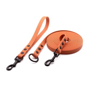 May include: An orange dog lead set with black hardware. The set includes a long lead rolled up, a handle, and a shorter lead with a black metal clip. The lead is made of a textured material and has black rivets.
