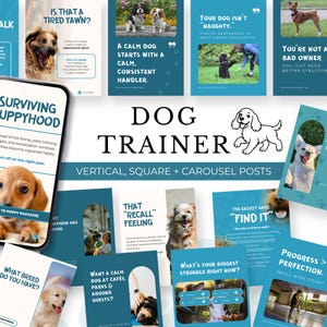 Könnte beinhalten: Eine Sammlung von Social-Media-Posts für einen Hundetrainer. Die Beiträge zeigen Bilder von Hunden und Welpen sowie Text mit Tipps zum Hundetraining, einschließlich Themen wie Welpenzeit, Rückruf und Ruhe. Formate: vertikal, quadratisch und Karussell.