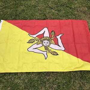 Pode incluir: Uma bandeira retangular dividida diagonalmente da parte inferior esquerda para a superior direita, com uma seção inferior amarela e uma superior vermelha. No centro, um emblema triskelion branco mostra três pernas dobradas.