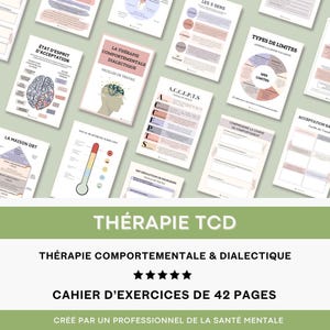 DBT 行動療法および弁証法療法 心理学者向けの療法リソース ツール 境界性障害療法ワークシート