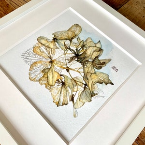 Getrocknete Hortensienblüte Original Aquarell mit Buntstiftzeichnung Unikat Bild 2