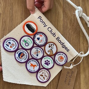 May include: A Pony Club banner displaying embroidered badges with pony-related themes. Badges include images of farming, pony care, and winter scenes. The banner is canvas with a rope for hanging, and a tag.