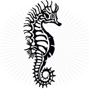 SVG png pdf eps and jpg Seahor Octopus Svg Clipart for Clothes, Tattoo, Mug - Cut File