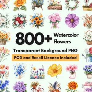 May include: A collection of over 800 watercolour flower illustrations with transparent backgrounds. The flowers are in a variety of colours and styles, including roses, daisies, lilies, and sunflowers. The text "800+ Watercolor Flowers" and "Transparent Background PNG" is displayed on the image. The text "POD and Resell Licence Included" is also displayed on the image.