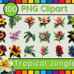 Tropischer Dschungel PNG Clipart transparentem Hintergrund Natur Blumen Blätter Laub Regenwald Wald botanisches Paradies Wallpaper