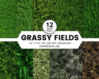 12 Grassy Fields Digital Papers, Seamless Patterns, 12x12, Realistic 3D images of various grasses bright green brown living dormant textures