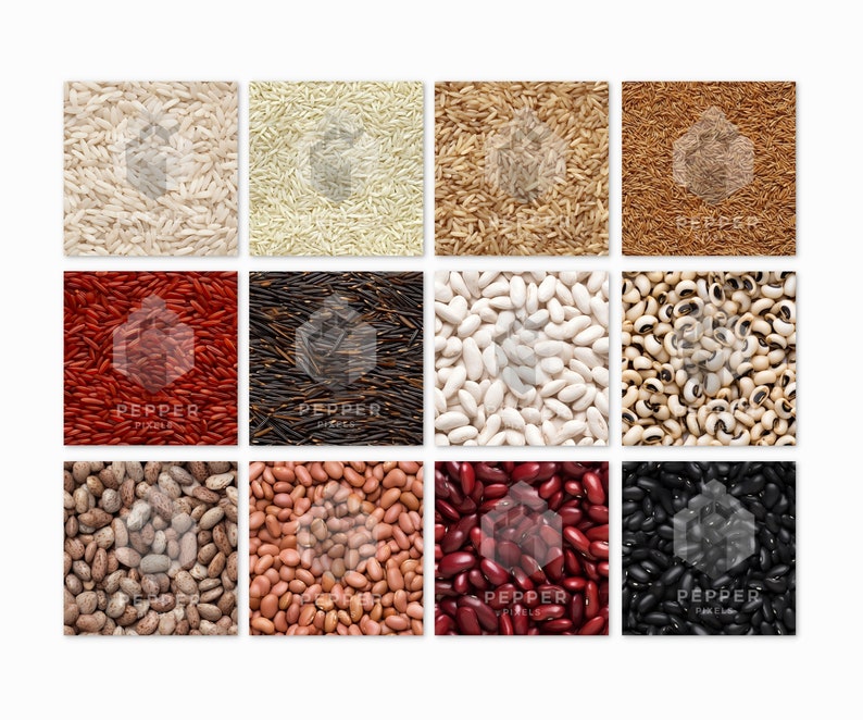 12 Rice & Beans Digital Papers, Seamless Patterns, 12x12, Realistic ...