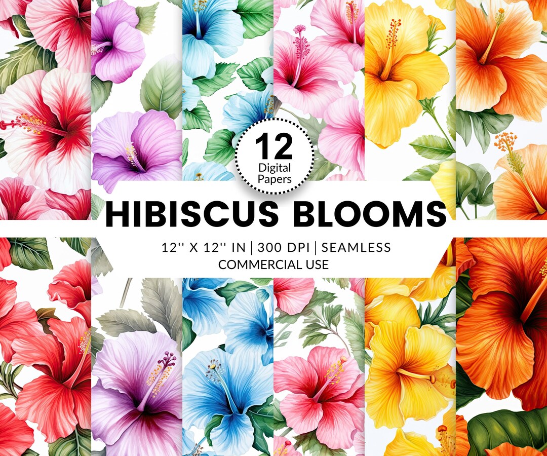 12 Hibiscus Blooms Digital Papers, Seamless Patterns, 12x12, Watercolor ...