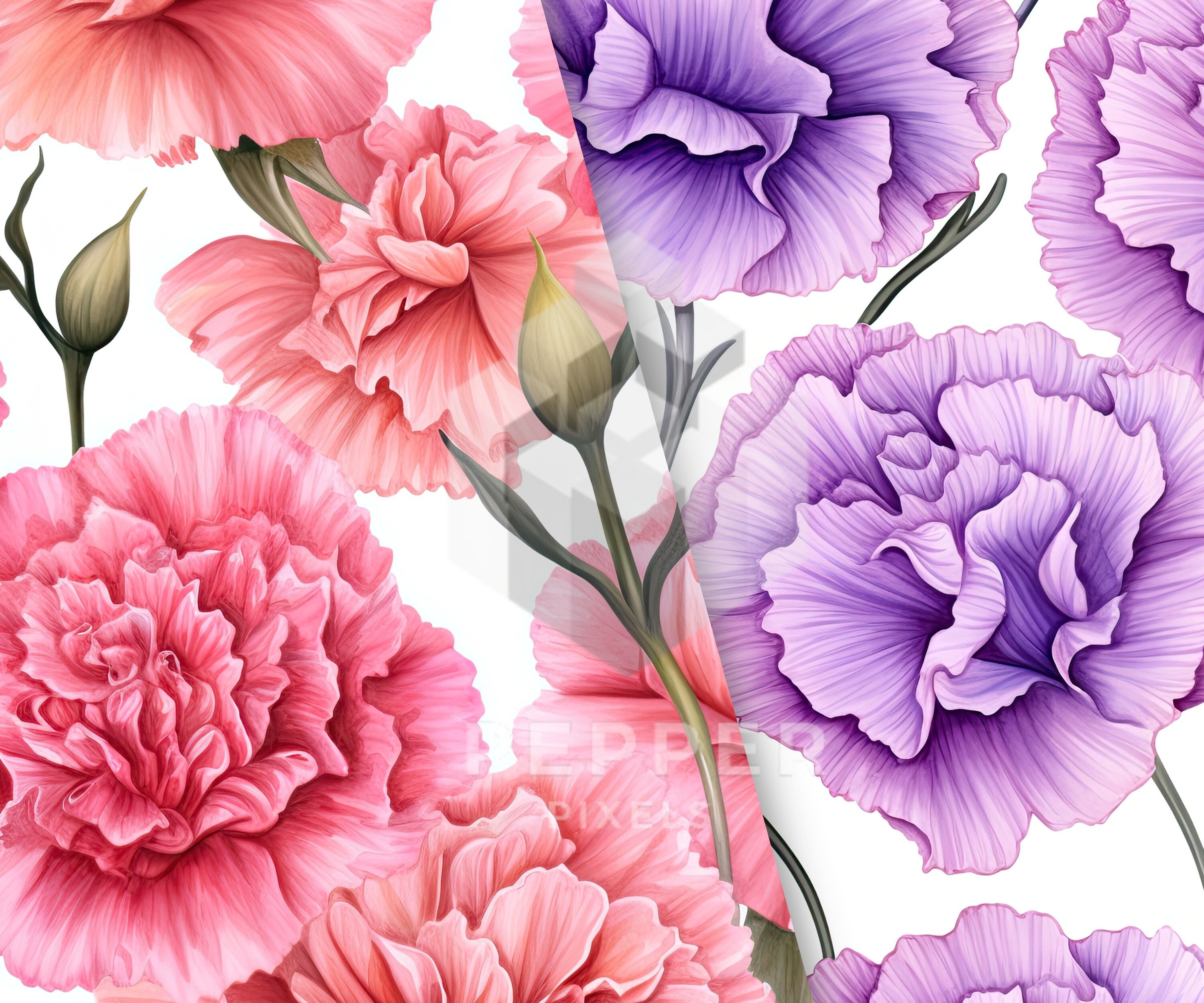 12 Carnation Blooms Digital Papers, Seamless Patterns, 12x12 ...
