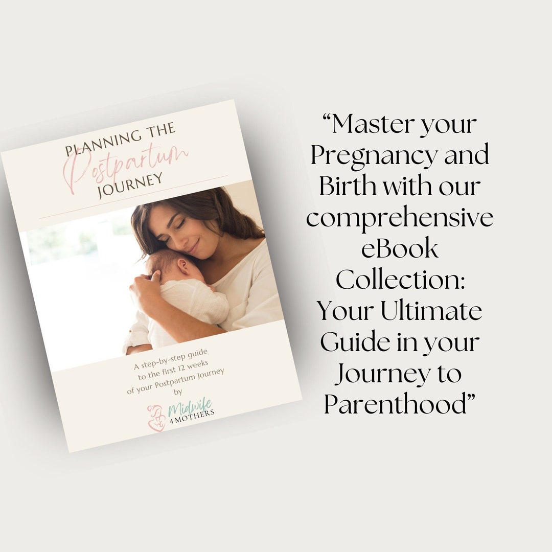 Planning the Postpartum Journey: A Step by Step Guide to the First 12 ...