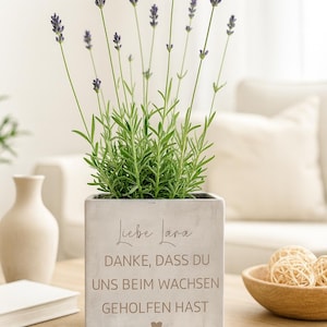 Abschied Geschenk für Lehrer|Erzieher| Geschenk Tagesmutter| Blumentopf in Betonoptik| Dankeschön | Kindergarten| Schule| Lehrer Blumentopf