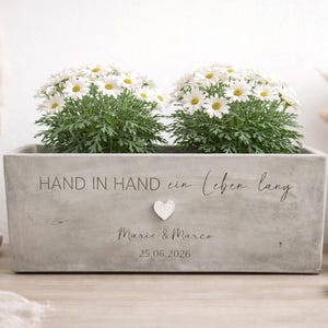 Könnte beinhalten: Ein rechteckiger Beton-Pflanzkübel mit zwei Gruppen weißer Gänseblümchen. Der Pflanzkübel trägt die Inschrift "HAND IN HAND ein Leben lang", ein Herz und die Namen "Marie & Marco" mit dem Datum "25.06.2026".