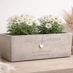 Könnte beinhalten: Ein rechteckiger Beton-Pflanzkübel mit zwei Gänseblümchenpflanzen. Der Pflanzkübel trägt den Text "LASST LIEBE WACHSEN" und die Namen "Kim & Norman" mit dem Datum "23. JANUAR 2026". Ein kleines Herz befindet sich darunter.