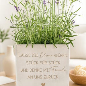 Könnte beinhalten: Ein quadratischer, cremefarbener Pflanzkasten gefüllt mit Lavendelpflanzen. Der Lavendel hat grüne Stängel und Blätter mit kleinen lila Blüten. Der Pflanzkasten hat einen eingravierten Text auf Deutsch und ein Herzsymbol.