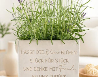 Abschied Geschenk für Lehrer|Erzieher| Geschenk Tagesmutter| Blumentopf in Betonoptik| Dankeschön | Kindergarten| Schule| Lehrer Blumentopf