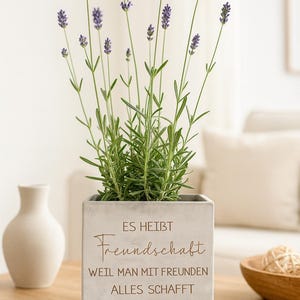 personalisierter Blumentopf mit Spruch|besteFreundin|KleineAufmerksamkeit|Ostern|Weihnachten|Geburtstag|Muttertag|Lieblingskollegin|
