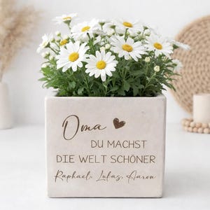 Könnte beinhalten: Ein quadratischer, hellfarbener Pflanzkasten gefüllt mit grünem Laub und weißen Gänseblümchen mit gelben Zentren. Auf der Box steht der Text "Oma, du machst die Welt schöner" und Namen darunter. Ein dekorativer Artikel für das Zuhause.