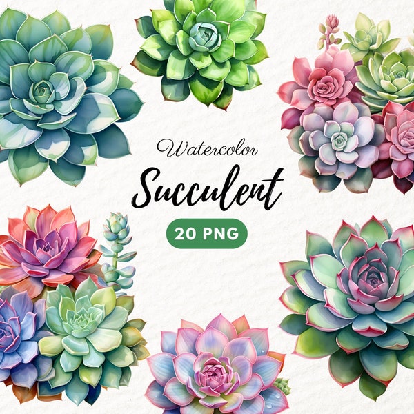 Watercolor Succulent, Succulent Clipart Bundle, Floral PNG, Flower Clipart, Greenery Junk Journal, Cactus PNG for Invitation Wedding