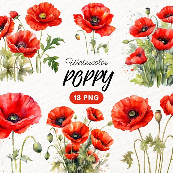 Bundle de cliparts aquarelle coquelicots, Images de fleurs de pavot PNG, beaux graphiques floraux, PNG, téléchargement numérique instantané, usage Commercial