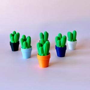 May include: A selection of small, bright green cactus plants in a variety of coloured pots. The pots are in black, blue, white, orange, and light blue. The background is a soft pink.