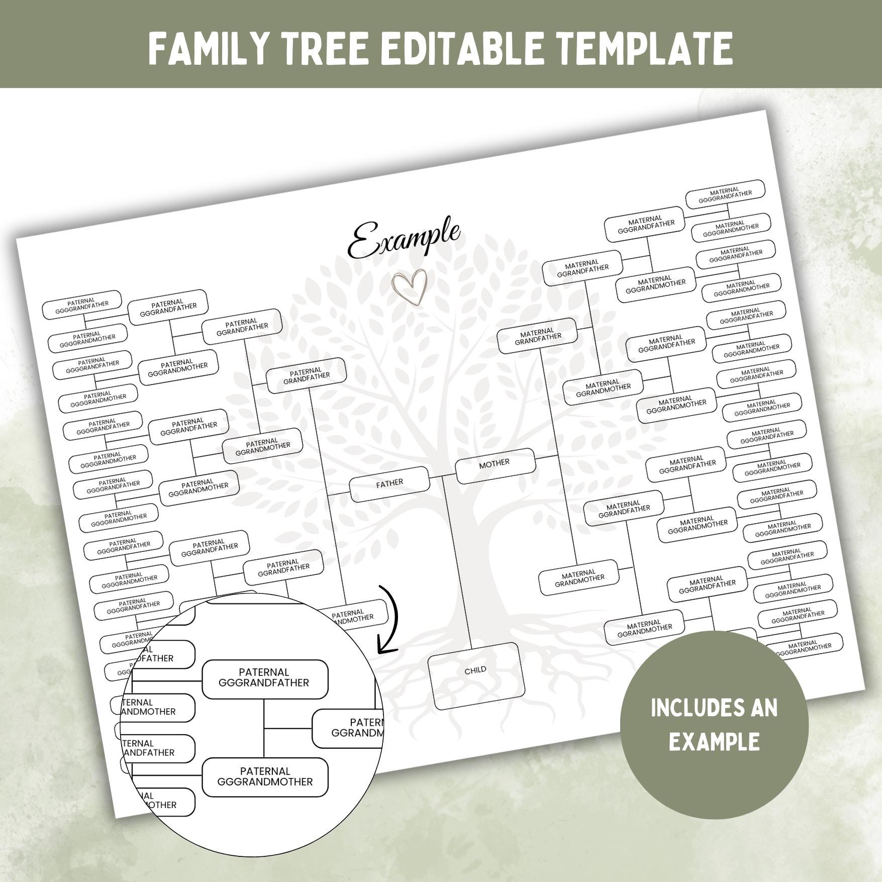 6-Generation Family Tree Template: Genealogy Pedigree Chart (Digital Download) CAMP12