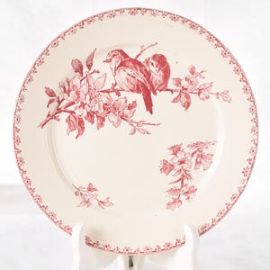 Puede incluir: Un plato de cer&aacute;mica blanco con un dise&ntilde;o floral y de p&aacute;jaros rojo. El plato presenta una ilustraci&oacute;n detallada de dos p&aacute;jaros posados en una rama floreciente. El borde est&aacute; decorado con un delicado patr&oacute;n floral.
