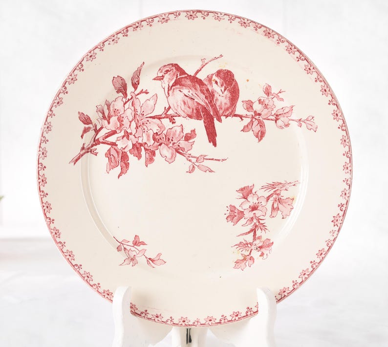 Puede incluir: Un plato de cer&aacute;mica blanco con un dise&ntilde;o floral y de p&aacute;jaros rojo. El plato presenta una ilustraci&oacute;n detallada de dos p&aacute;jaros posados en una rama floreciente. El borde est&aacute; decorado con un delicado patr&oacute;n floral.