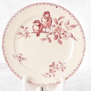 Puede incluir: Plato de cer&aacute;mica color crema con un dise&ntilde;o de p&aacute;jaros y flores en color granate. Dos p&aacute;jaros se posan en una rama con flores. El borde del plato tiene un borde floral granate. Una pieza decorativa para la cocina o el comedor.