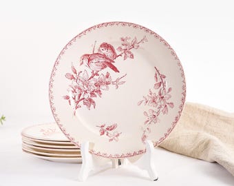 Sarreguemines Plate. &quot;Favori&quot; Model. French Antique Ironstone Plates. Red transfer ware/ Bird Transferware.