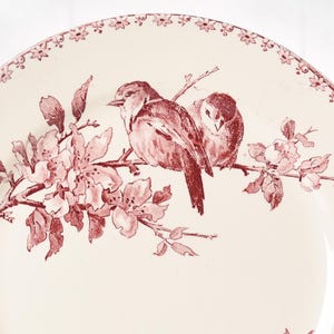 Puede incluir: Plato de cer&aacute;mica color crema con un dise&ntilde;o floral y de p&aacute;jaros en rojo. Dos p&aacute;jaros se posan en una rama con flores. El borde del plato tiene un borde floral decorativo. Dise&ntilde;o cl&aacute;sico, estilo vintage.