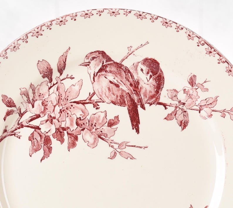 Puede incluir: Plato de cer&aacute;mica color crema con un dise&ntilde;o floral y de p&aacute;jaros en rojo. Dos p&aacute;jaros se posan en una rama con flores. El borde del plato tiene un borde floral decorativo. Dise&ntilde;o cl&aacute;sico, estilo vintage.