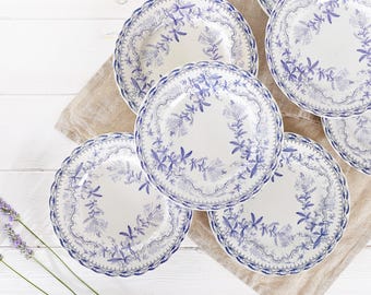 Antique Creil & Montereau Plate: French Blue White Transferware