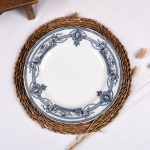 Antique Ironstone platter St Amand Terre de Fer 'Medaillon'. Large vintage French serving dish, dinner ware Blue and White Transferware.