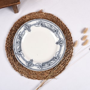 Antique Ironstone platter  St Amand Terre de Fer 'Medaillon'. Vintage French round serving dish, dinner ware Blue and White Transferware.