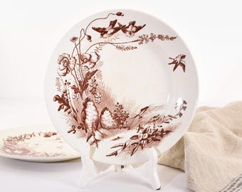 Platos antiguos franceses Jules Vieillard de piedra de hierro "Oiseaux". Plato de cena vintage de cerámica marrón con transferencia. Juego de dos.