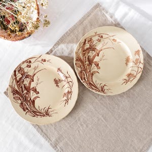 May include: Two cream-colored ceramic plates with a brown floral design. The plates have a wide rim and are decorated with stylized flowers and foliage. The plates are placed on a neutral-colored linen cloth.