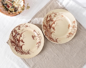 Placas de transferencia marrón, conjunto de 2 antiguos franceses Jules Vieillard Bordeaux, Flore Terre de Fer Ironstone, Botanical Iris Shabby Chic Decor