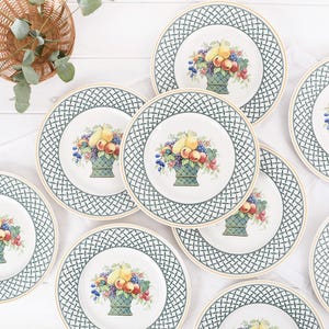 Vintage Villeroy and Boch Basket  Dinner Plate- German Vitro Porcelain Fruit Trellis Design- Collectible Mid Century European Tableware